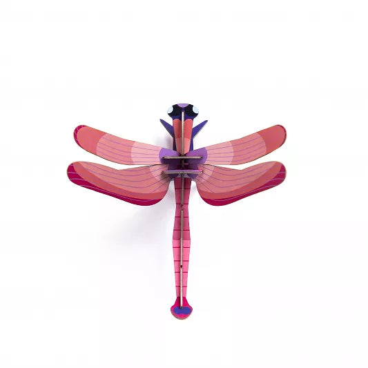 Insect Ruby Dragonfly